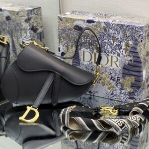 Dior saddle 001